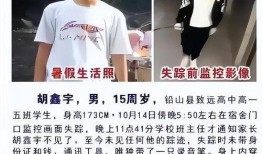 最新爆料胡鑫宇,揭秘真相背后的疑云重重